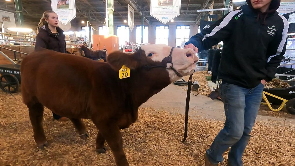 Spotlight on beef as Minnesota midterms near — WCCO / CBS Minnesota, White Bear Lake Community news