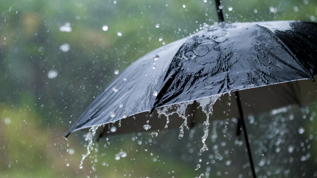 Widespread rain in Minnesota Monday; milder air returns Tuesday — WCCO / CBS Minnesota, White Bear Lake Community news