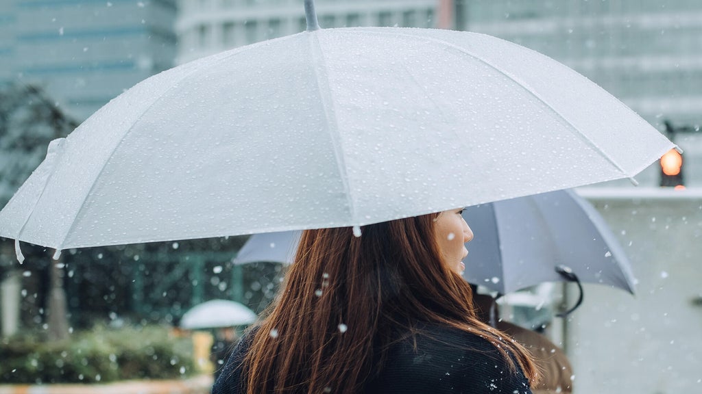 Soggy, chilly Thursday in the Twin Cities; season's first frost possible Saturday — WCCO / CBS Minnesota, White Bear Lake Sports news