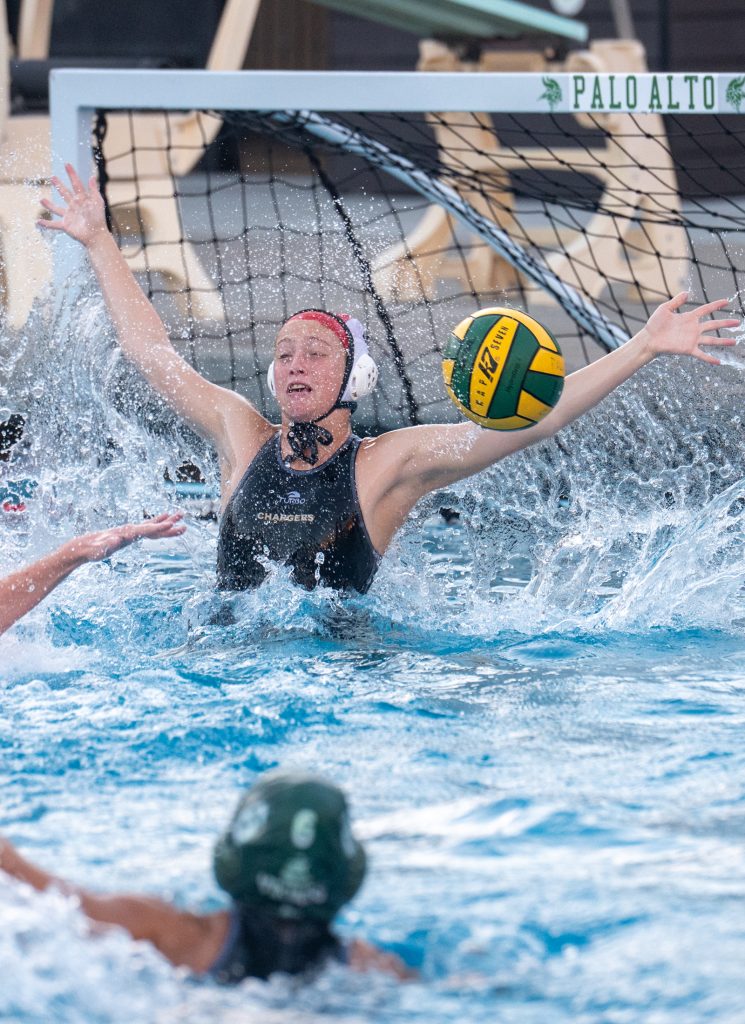 Wilcox Water Polo Caught in Vikings Rip Current — Silicon Valley Voice, White Bear Lake Sports news