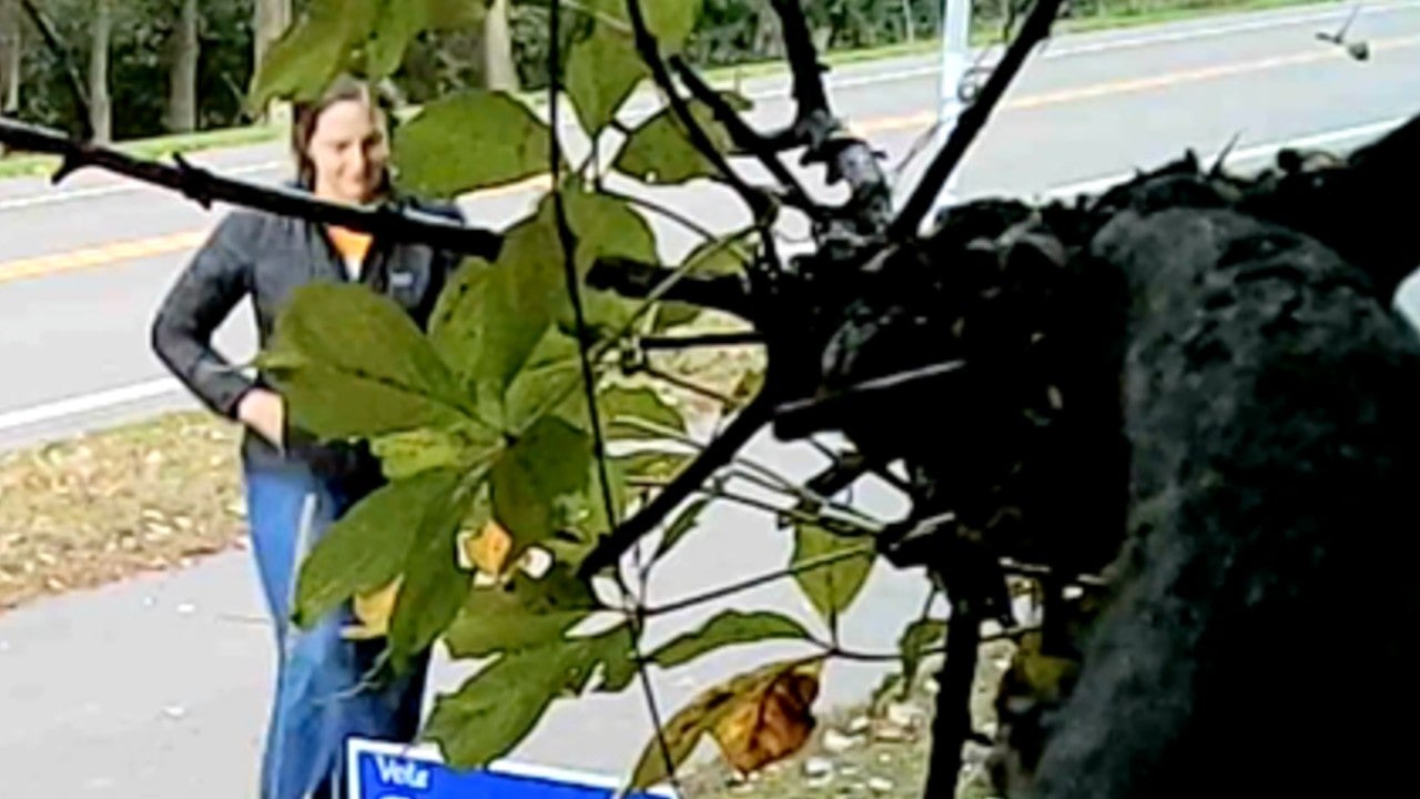 Video: Vadnais Heights council member removes mayoral candidate’s campaign sign, tosses it aside — KSTP 5, White Bear Lake Real Estate news