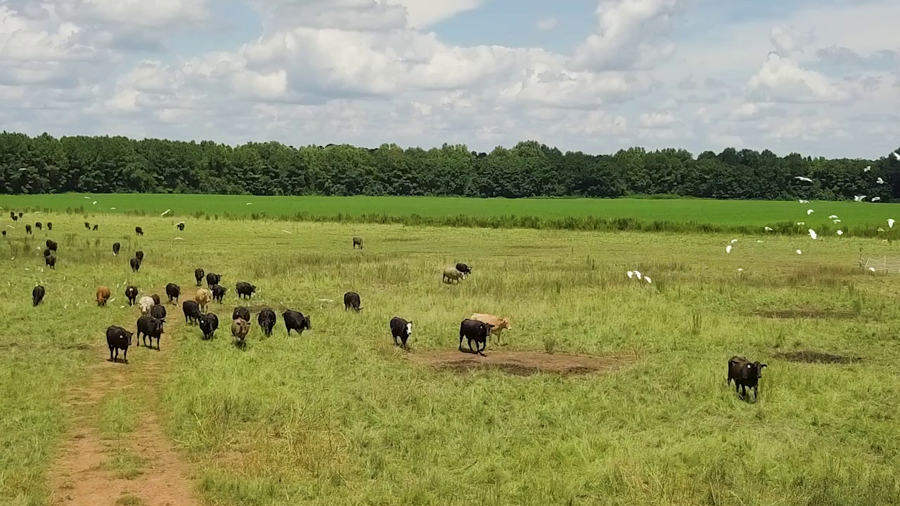 5 ON YOUR SIDE: Regenerative agriculture — White Bear Lake Health news