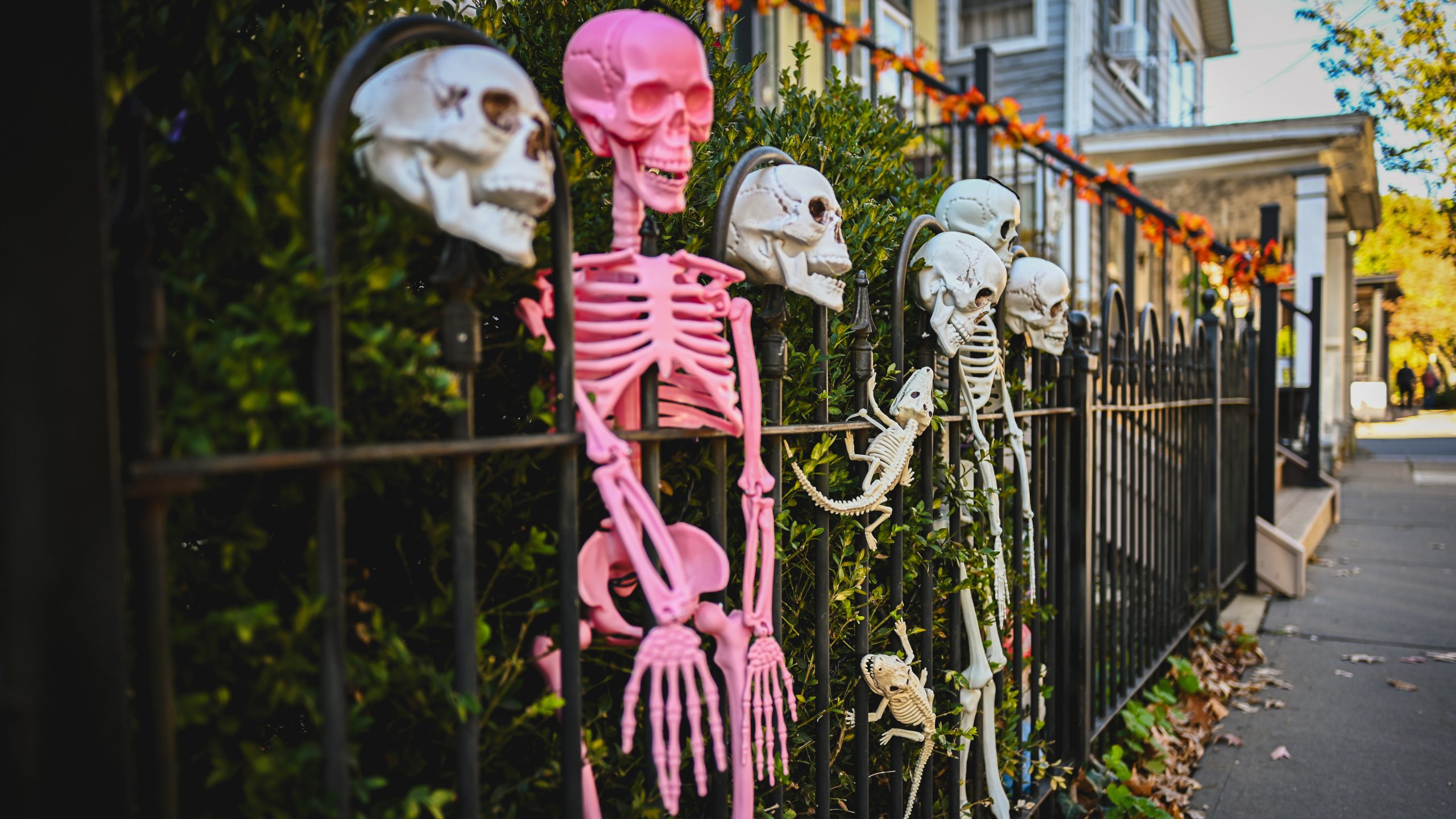 America's best cities for Halloween, ranked — FOX 9, White Bear Lake Community news
