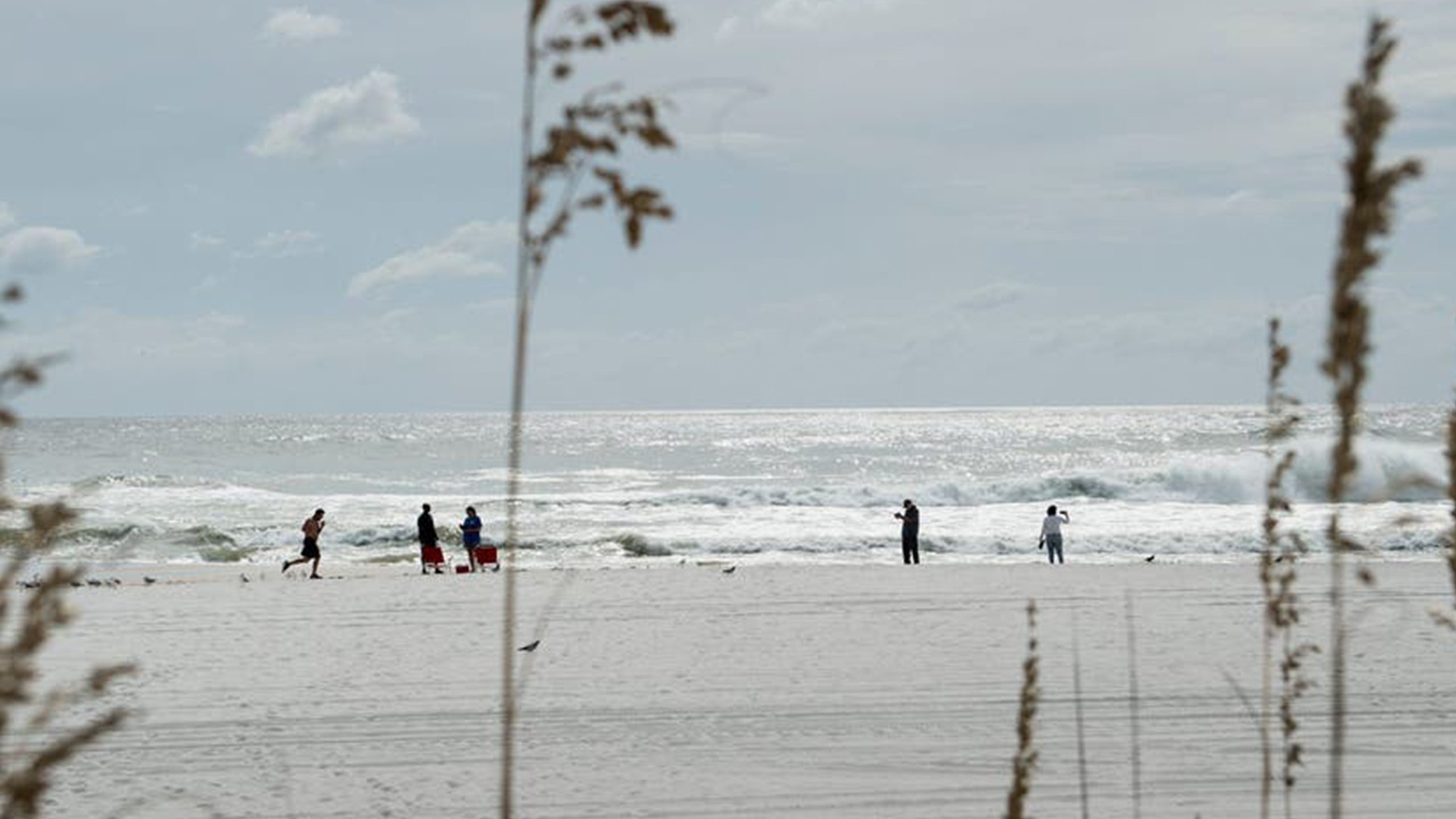 Father of 2 drowns after being caught in current trying to rescue seagull caught in fishing line — White Bear Lake Community news