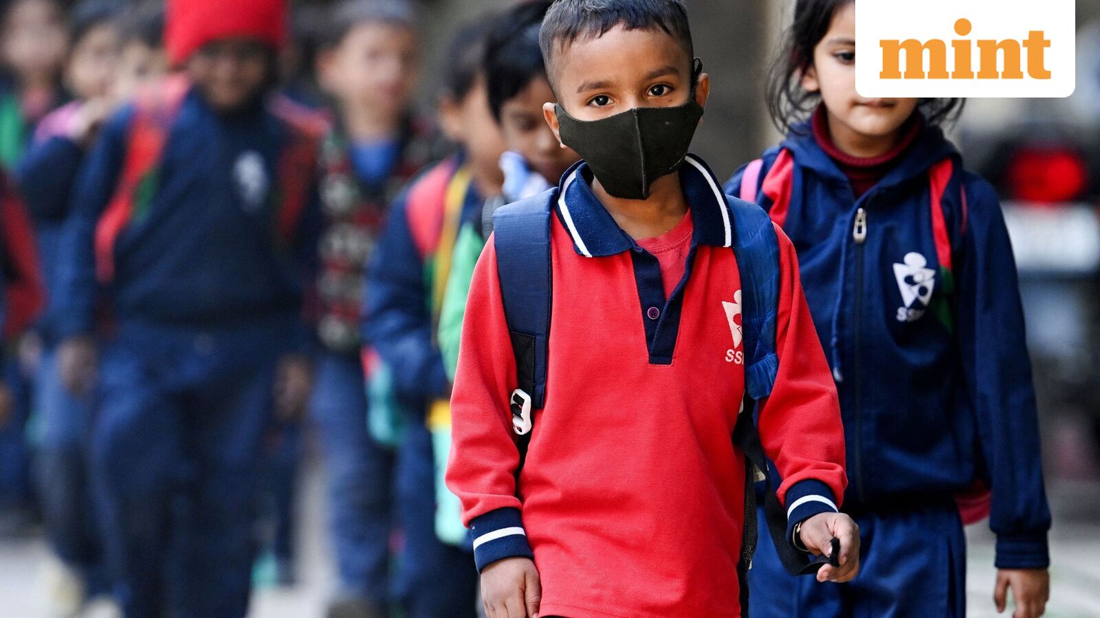 Chennai school holiday, Oct 21: Schools shut in four Tamil Nadu districts as heavy rains predicted | Check IMD alert — Mint India, White Bear Lake Schools news